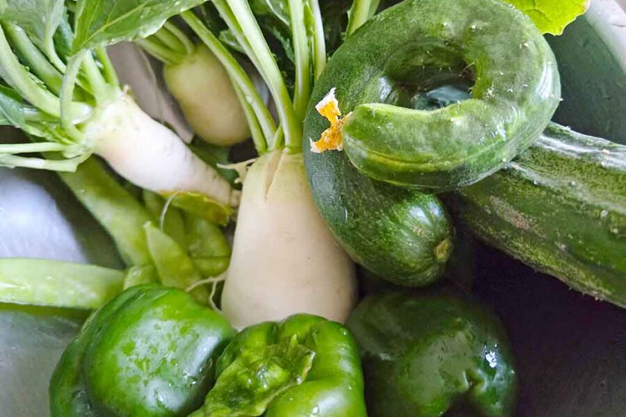 https://casestudy-cafe.com/wp-content/uploads/2026/08/Vegetables-pic-900x600.jpg